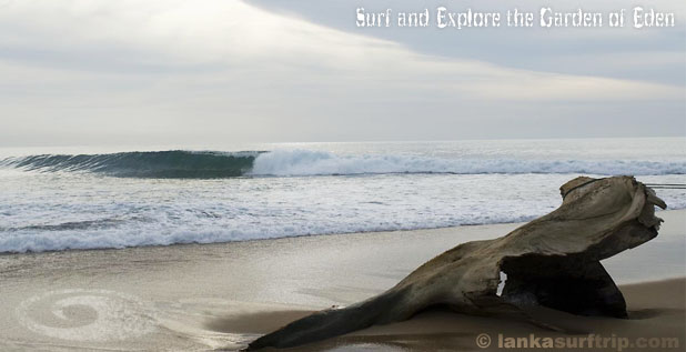 Surf Trip Sri Lanka