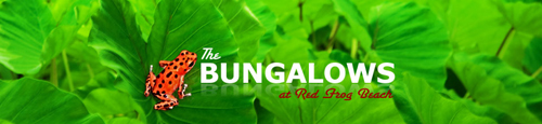 Red Frog Bungalows Panama Surf Resort